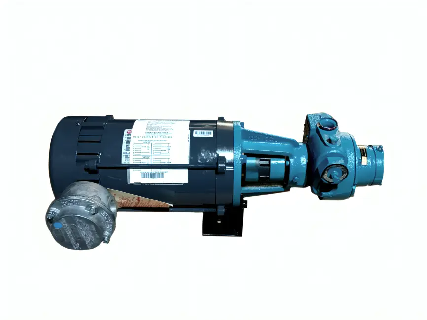 BOMBA PALETA ACOPLADA A MOTOR-BLACKMER